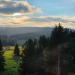 Schwarzwaldblick Rothaus-2