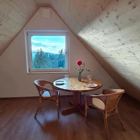 Schwarzwaldblick Rothaus-2