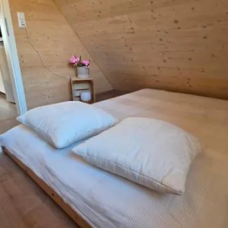 公寓 Schwarzwaldblick Rothaus-2