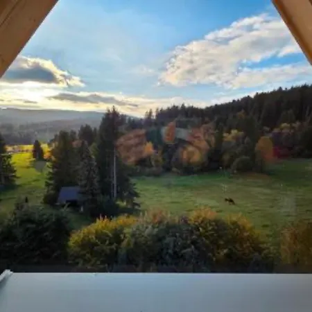 Apartament Schwarzwaldblick Rothaus-2 *
