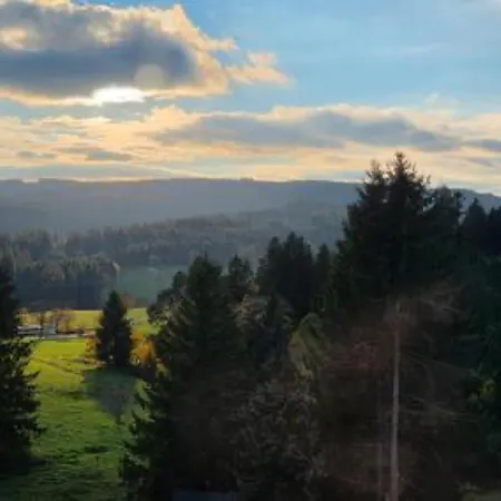 Schwarzwaldblick Rothaus-2